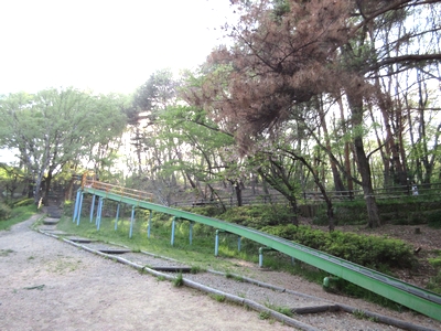 台原森林公園アスレチック広場