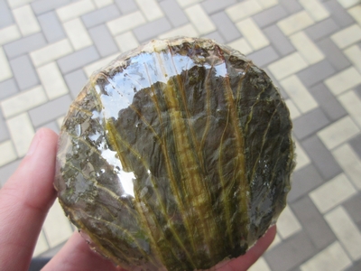 弁慶飯(おにぎり)